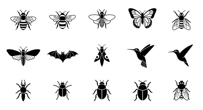 Collection of Insect and Animal Silhouettes.
