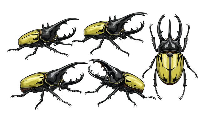 Atlas Beetle Hercules Rhinoceros Beetle Detailed Cartoon Vector Illustration Set Multiple Angles