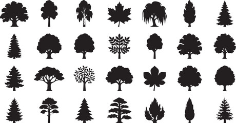 Diverse Tree and Forest Plant Silhouettes Set © Amimulislam