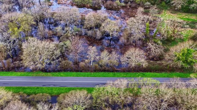 Trees in the Briere Regional Natural Park growing along the road, shot in spring