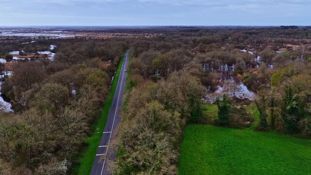 An aerial shot on a cloudy day over the treetops of Briere Regional Natural Park, France