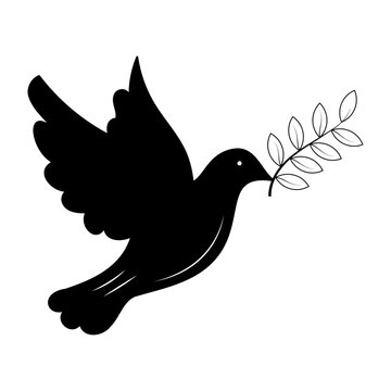 Minimalist vector line art design featuring a black hand-drawn flying peace dove holding an olive branch on a white backdrop