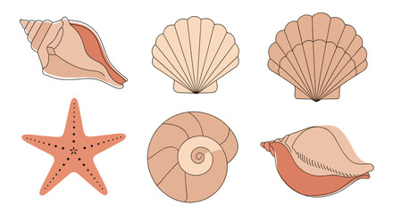 Fototapeta premium Seashells and starfish ocean creatures.