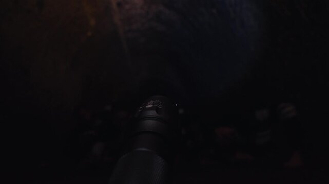 Horde of Monsters Revealed by Flashlight in a Dark Cave