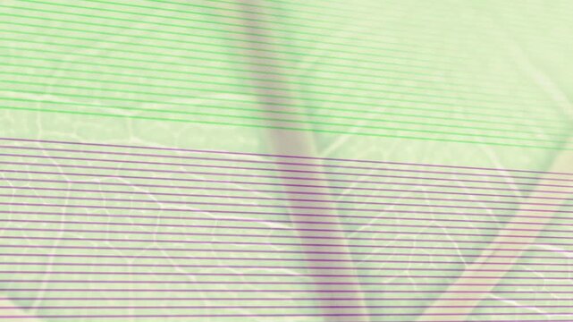 Leaf section showing animated scanlines sweeping midrib, highlighting veins for education