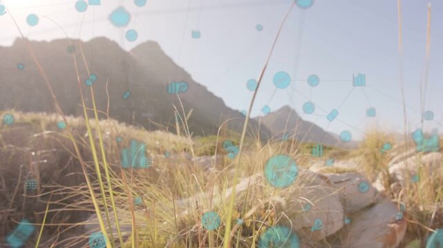Sun glare starting teal overlay emerging pulsing dissolving showing data over grass clump and rocks