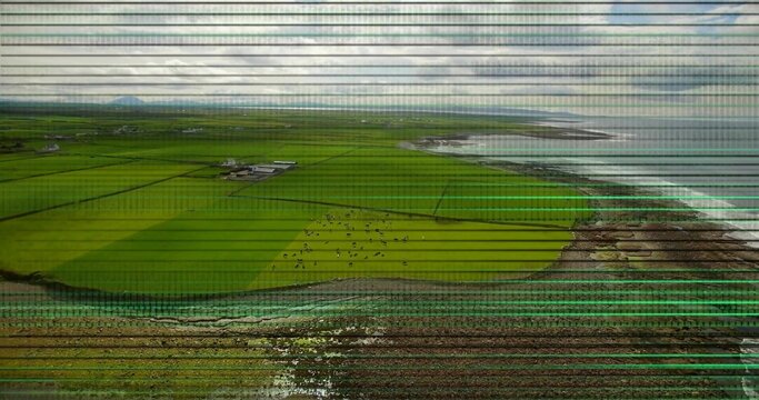 Showing aerial patchwork of green fields and grazing herd by rocky tidal shoreline, with scan lines