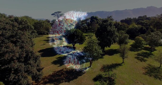 Hovering translucent 3D hologram face casting pixel glow across park meadow, long tree shadows