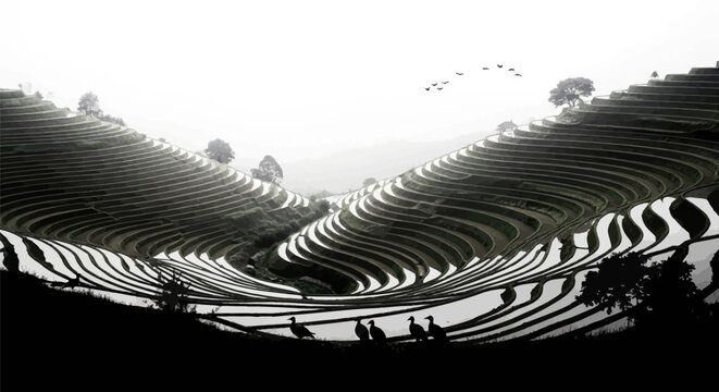 Black and white stadium seating.