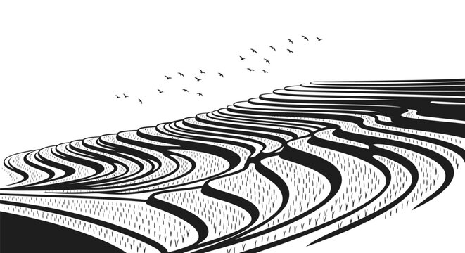 Black and white wave pattern design.