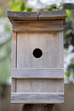Simple Wooden Birdhouse with Single Entrance Hole in Garden Setting