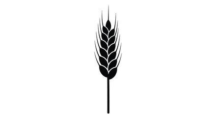 A striking black silhouette of a wheat stalk representing agriculture and harvest silhouette © nhpvect02