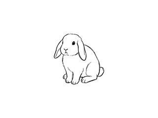 Fototapeta premium A cute lop-eared rabbit sits calmly, depicted in a simple black and white line drawing with a clean white background.