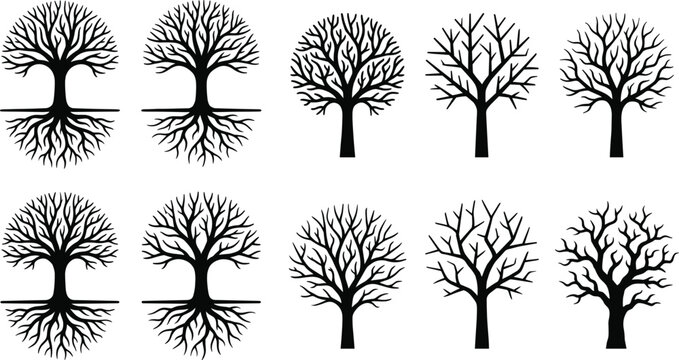 Leafless tree silhouette set with roots black and white vector collection nature design elements