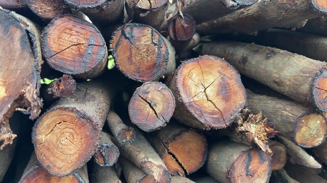 Stacked logs reveal warm, cracked wood grain. Bark edges show weathered, rough textures. Circular cuts expose vibrant, golden inner rings. Natural patterns echo age and fire. Ideal for rustic, organic