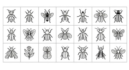 Collection of stylized insect illustrations in black and white. © Arya