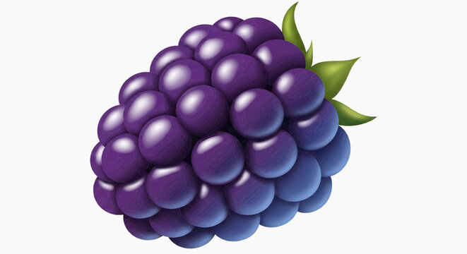 A vibrant, close-up illustration of a ripe blackberry, showcasing its deep purple hue and detailed drupelets, perfect for food and health-related content