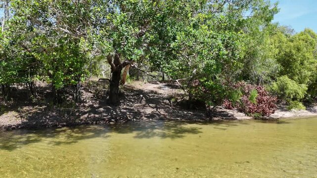 Aerial drone view of former final water crossing at Jardine River on Old Telegraph Track, Cape York, Queensland, Australia. Remote 4WD route, rugged outback landscape, adventure travel.