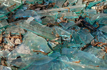Fototapeta premium Broken glass pieces on ground with dry leaves and dirt. Danger, damage, pollution and unsafe.