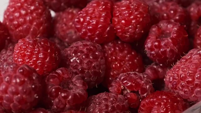 A male hand picks a ripe raspberry from a heap of fresh red berries with detailed texture. Concept of healthy snacking, vegetarian diet, and gathering organic summer harvest ingredients.