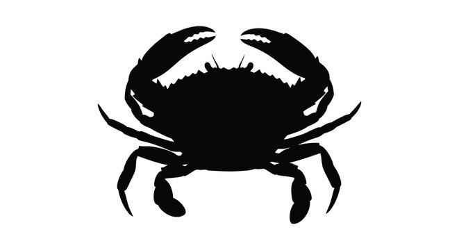 A striking black silhouette of a crab with detailed claws and legs silhouette