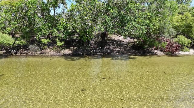 Aerial drone view of former final water crossing at Jardine River on Old Telegraph Track, Cape York, Queensland, Australia. Remote 4WD route, rugged outback landscape, adventure travel.