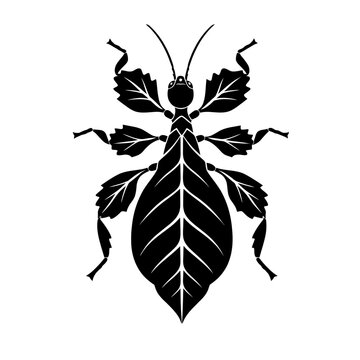 Black silhouette of a walking leaf insect with leaf-like protrusions on its body and legs on a white background