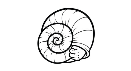 Detailed illustration of a snail shell. © Suryaaji