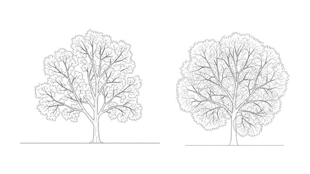 Detailed 2D AutoCAD drawings of two trees with foliage and branches
