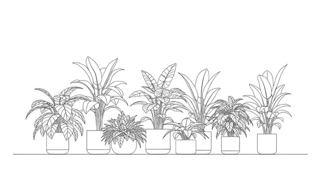 2D AutoCAD illustration of various potted plants on a shelf indoors