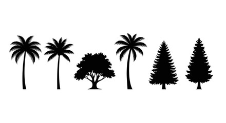 Variety of tropical and coniferous trees depicted as a black silhouette © Asia