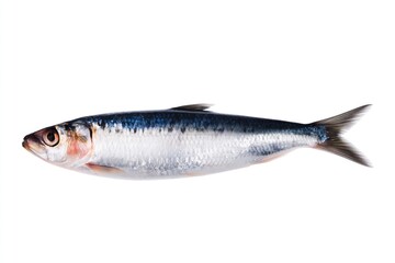 Obraz premium Fresh Fish Lies on a White Surface Ready for Cooking or Preparation in a Kitchen Setting
