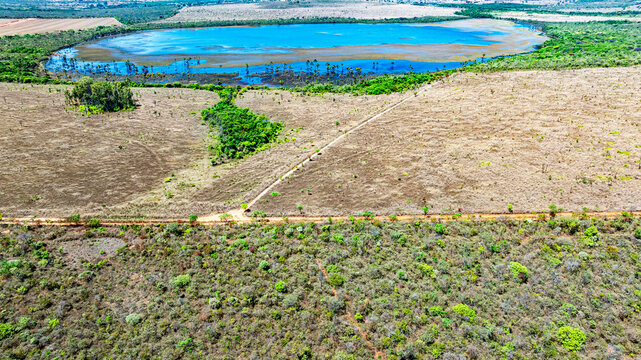 The &Aacute;guas Emendadas Ecological Station is home to a rare hydrological phenomenon where a footpath forms springs that feed the Maranh&atilde;o and S&atilde;o Bartolomeu basins. Planaltina, DF, Brazil, 2025