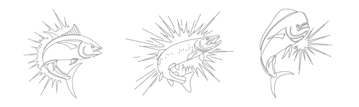 Continuous line drawing of yellowfin tuna coho salmon and mahi mahi fish set isolated on white background for seafood market branding.