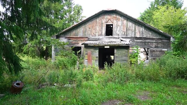 A ruined house in the woods. The old wooden building stands among dense thickets and trees.