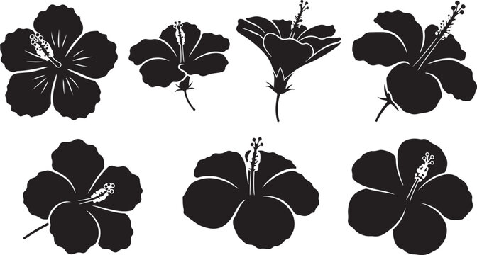 Black and white of maple leaves with stems isolated on white background leaf botanical