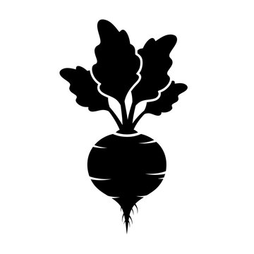 Silhouette of a fresh beetroot with green leaves, a healthy vegetable.
