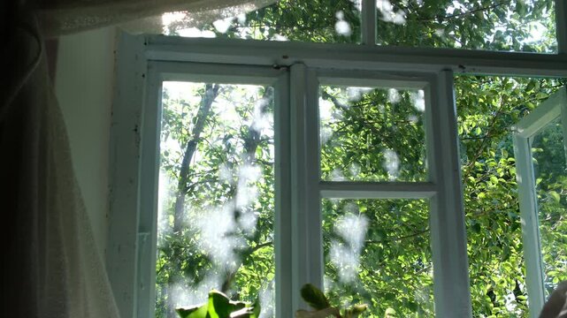 rural window with light blue frame is open to a sunny summer yard. Sunlight reflections move across the glass while a tree is visible outside, creating a bright and peaceful countryside atmosphere. 