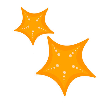 Orange starfish icon for summer beach and marine life decoration