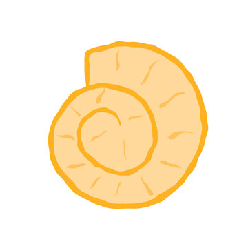 Minimalist hand drawn spiral sea shell  for summer beach design