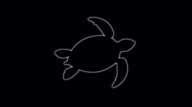 Sea Turtle Swimming Silhouette and Outline Minimalist Motion Graphics for Marine Life Conservation and Nature Documentary Overlay