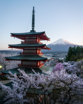 View of the Chureito Pagoda and Mount Fuji framed by blooming cherry blossoms under a clear sky in Fujinomiya, Shizuoka, Japan.
