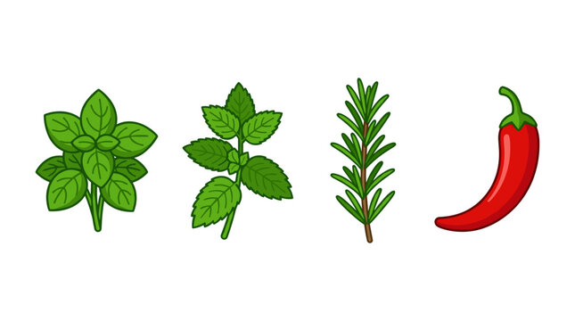 vector Four distinct herbs and a red chili pepper are isolated on a clean white background.