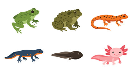Obraz premium vector A variety of amphibians and aquatic creatures like frogs, newts, and axolotls are illustrated.