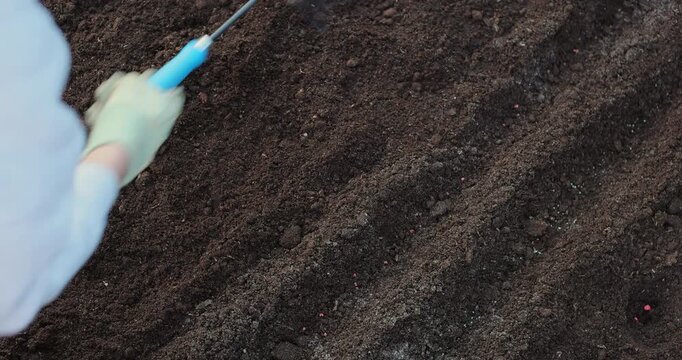 Close-up of a woman hoeing in her garden, breaking up soil to prepare for planting vegetables. Agricultural concept.