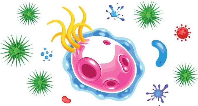 Cartoon cell with bacteria and viruses illustration showing microbiology, infection process, immune response, and healthcare science concept vector illustration