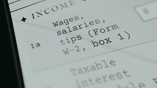 Income section of the IRS Form 1040, taxpayer reports the amount of earnings