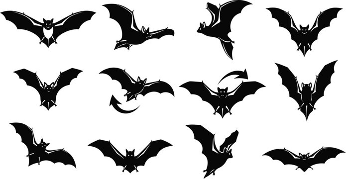 Collection of black bat silhouettes in various flying poses and orientations animal creature