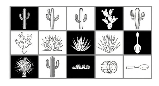 Collection of Cactus and Desert Plant Illustrations in Black and White.