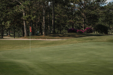Obraz premium Golf Links with Evergreen Woods